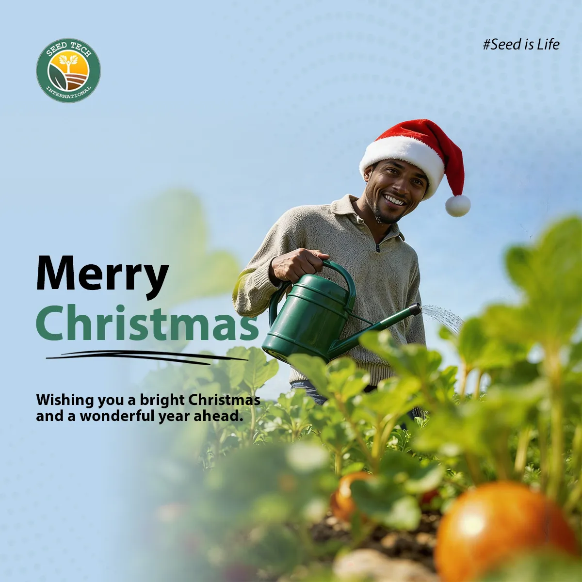 Merry Christmas, Seed is Life